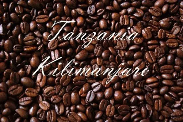 Tanzania Kilimanjaro (14664) - 100 g